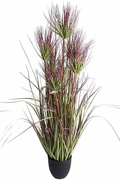 Botanic-Haus Kunstgras »Zyperngrasbusch« günstig online kaufen