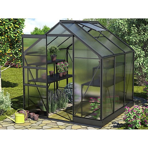Vitavia Gewächshaus Apollo 3800 Schwarz 3,8 m² inkl. Fundament günstig online kaufen