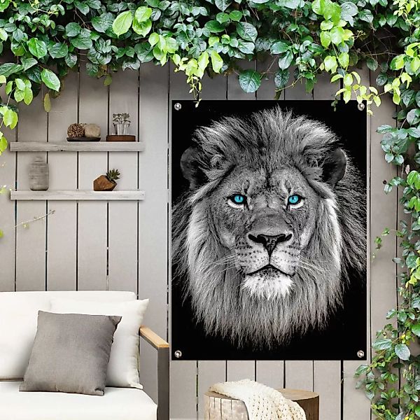 Reinders! Poster »Löwe mit blaue Augen«, Outdoor für Garten oder Balkon günstig online kaufen