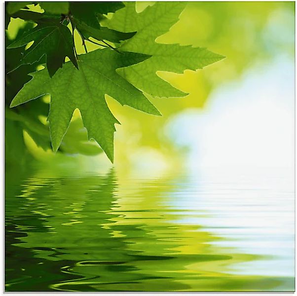 Artland Glasbild »Grüne Blätter reflektieren im Wasser«, Blätter, (1 St.), günstig online kaufen