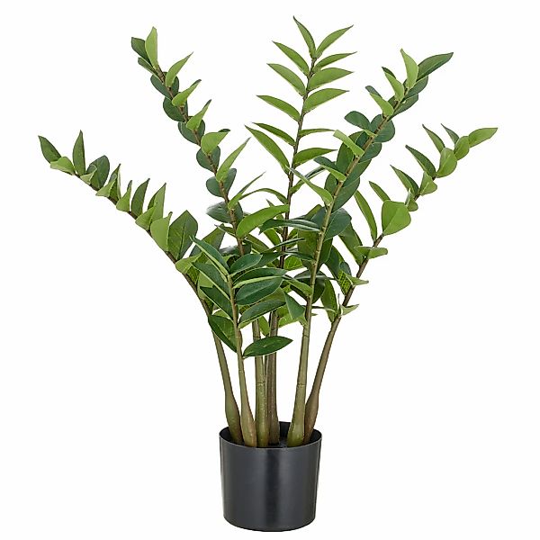 Creativ green Kunstpflanze "Zamifolia", mit detailgetreuer Gestaltung günstig online kaufen