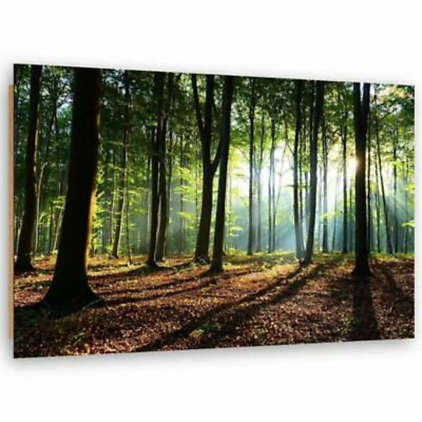FEEBY® Kunst grüner Wald Leinwandbilder bunt Gr. 60 x 40 günstig online kaufen