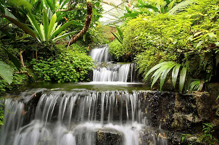 Papermoon Fototapete »WASSERFALL-BÄUME FLUSS SEE STEINE BLUMEN BERGE SONNE« günstig online kaufen