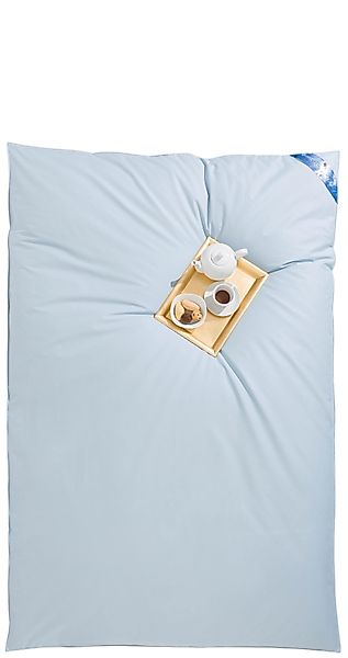 RIBECO Federbettdecke »Leon«, extrawarm, Füllung 90% Daunen, 10%Federn, (1 günstig online kaufen