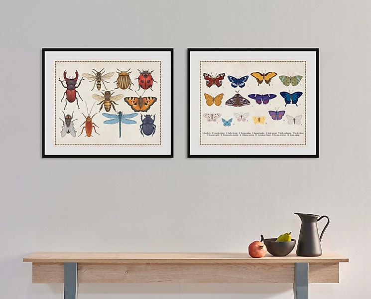 queence Bild "Liane", Schmetterlinge, (1 St.) günstig online kaufen