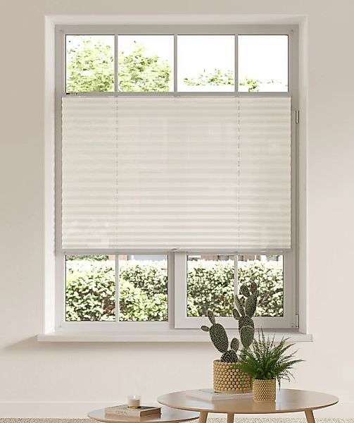 my home Plissee "LAHOLM" Lichtschutz ohne Bohren verspannt Fixmaß, Bestsell günstig online kaufen