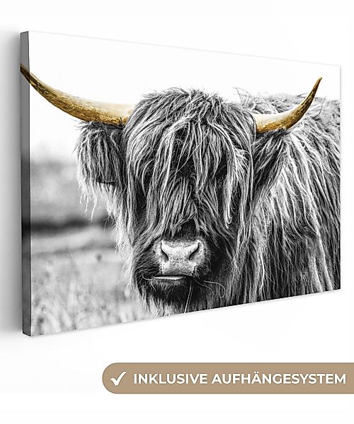 OneMillionCanvasses® Leinwandbild Schottischer Highlander - Hörner günstig online kaufen