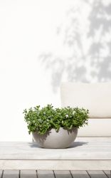 ECOPOTS Blumentopf BRUSSELS Taupe, BxTxH: 30x30x14 günstig online kaufen