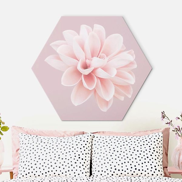 Hexagon-Alu-Dibond Bild Dahlie Blume Lavendel Rosa Weiß günstig online kaufen