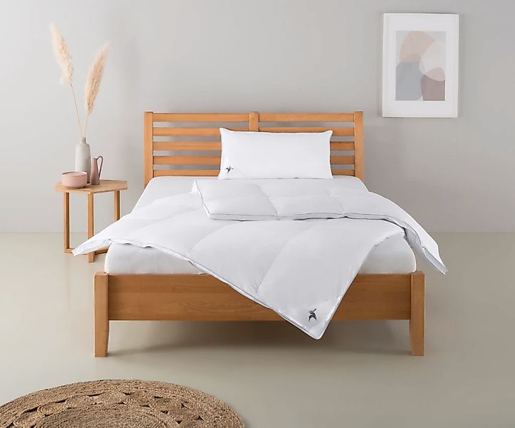 Älgdröm Daunenbettdecke + Kopfkissen "Lodiken, Bettdecke 135x200 cm, 155x22 günstig online kaufen