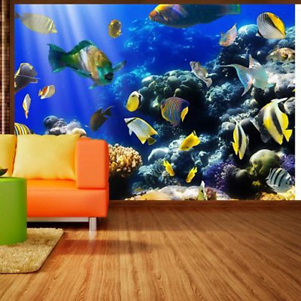 artgeist Fototapete Underwater adventure mehrfarbig Gr. 350 x 245 günstig online kaufen