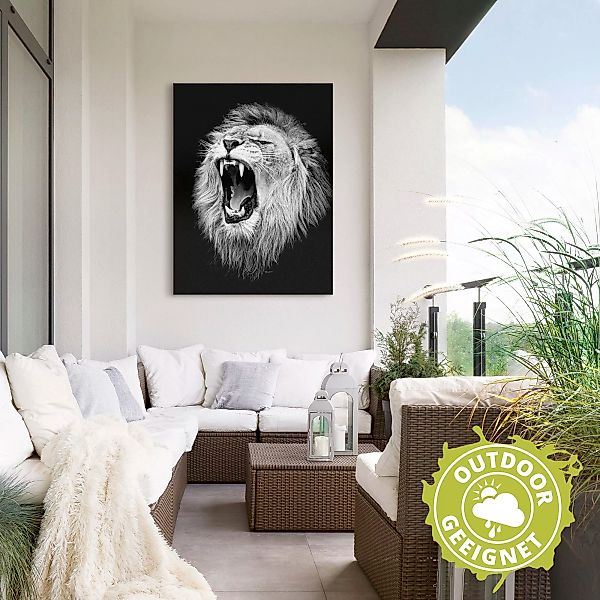Artland Wandbild "Der Löwe", Wildtiere, (1 St.), als Alubild, Outdoorbild, günstig online kaufen