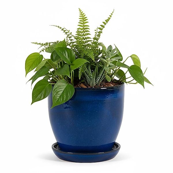 Teramico Pflanzkübel Blumentopf aus Keramik Modell günstig online kaufen