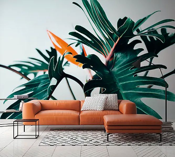 A.S. Création Vliestapete »PflanzenFototapete Monstera Dunkelgrün Orange« m günstig online kaufen