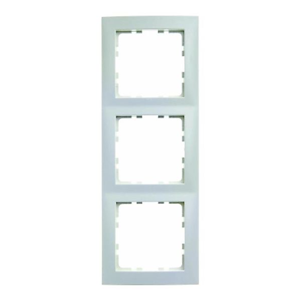 Berker Rahmen 3f.pws matt senkrecht/waagerecht 10139909 günstig online kaufen