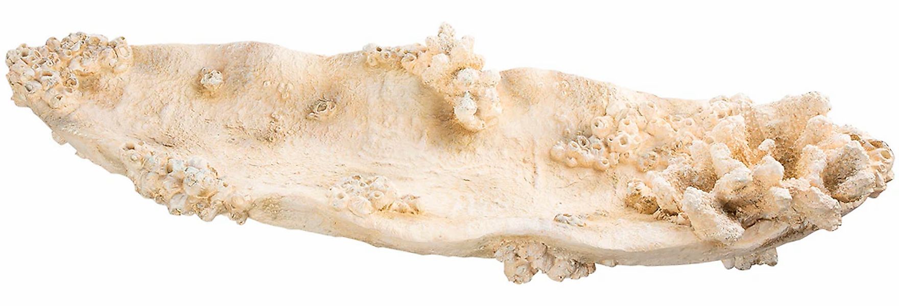 GILDE Dekoschale "Schale Amphora Seychelles weiß H. 10,5 cm" günstig online kaufen