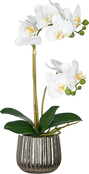 Kunstorchidee Orchidee Phalaenopsis, Creativ green, Höhe günstig online kaufen