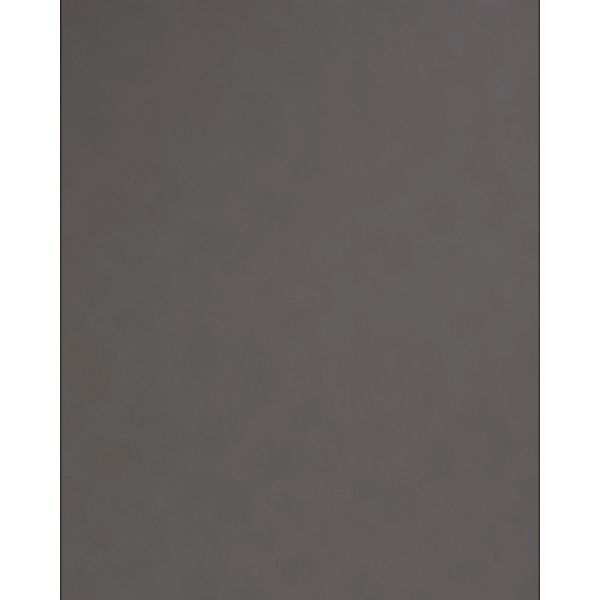 WALLFACE 19301 CHARCOAL LIGHT Wandpaneel in Leder Optik Matt Grau 2600 mm x günstig online kaufen