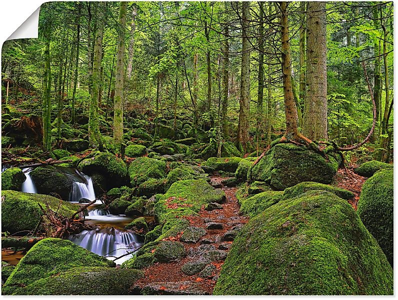 Artland Wandbild "Zauberwald", Wald, (1 St.) günstig online kaufen