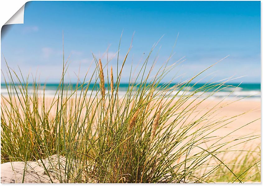 Artland Wandbild "Dünengras", Strand, (1 St.), als Alubild, Outdoorbild, Le günstig online kaufen