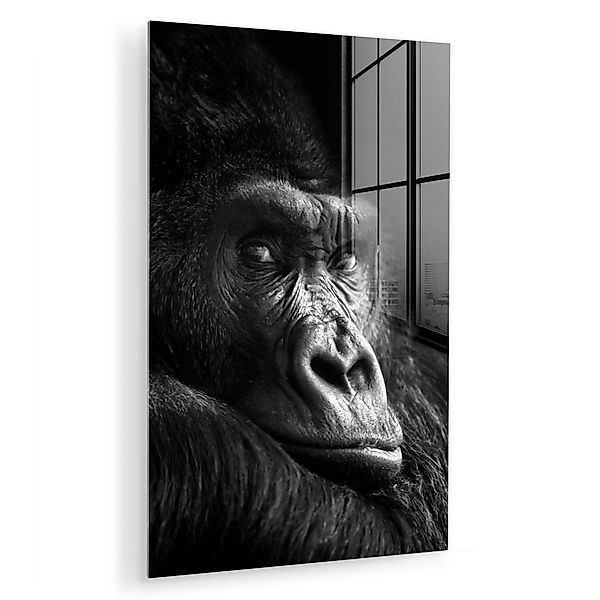 MuchoWow Acrylglasbild Gorilla - Affe - günstig online kaufen