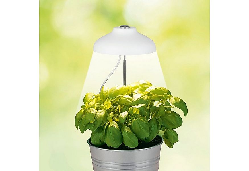 DS Produkte GmbH LED Dekolicht LED Teleskop-Pflanzenleuchte Pflanzenlampe P günstig online kaufen