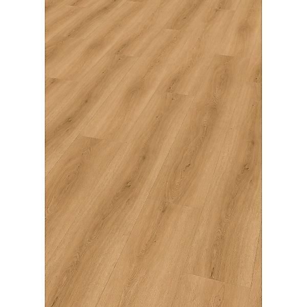 Check Klebe-Vinylboden Expert Tordera Eiche günstig online kaufen