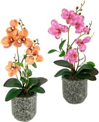 Kunstpflanze Orchidee, I.GE.A., Höhe 38 cm, günstig online kaufen