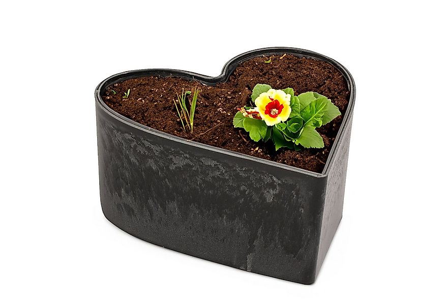 matches21 HOME & HOBBY Blumentopf Herz Pflanzschale für draussen marmoriert günstig online kaufen