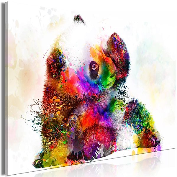 Wandbild - Little Panda (1 Part) Wide günstig online kaufen