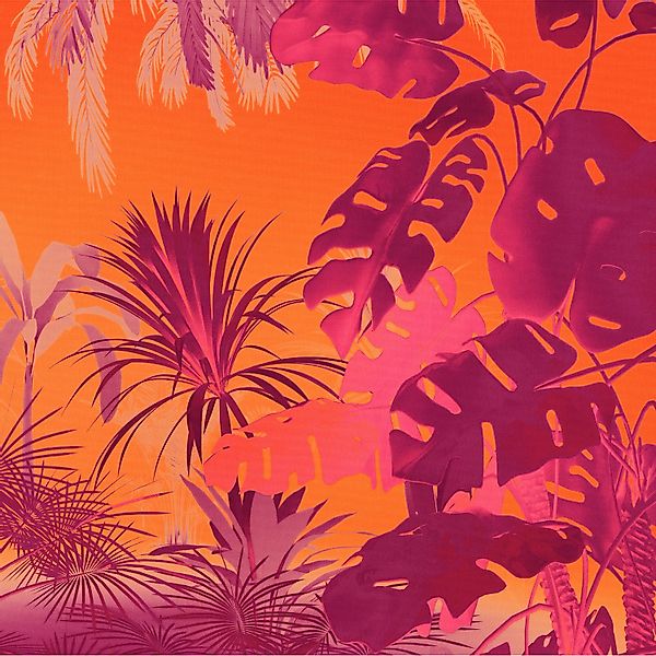Komar Vliestapete Funky Jungle 250 cm x 250 cm Orange günstig online kaufen