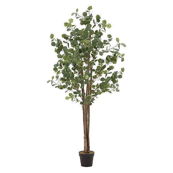 ML-Design Künstliche Eukalyptus 180cm Groß Kunstpflanze Naturholzstamm günstig online kaufen