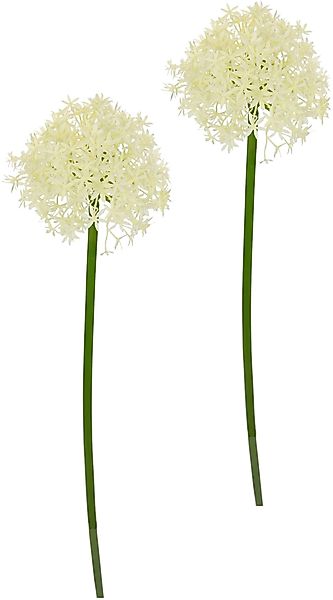 Kunstblume Allium Zierlauch, I.GE.A., Höhe 80 günstig online kaufen