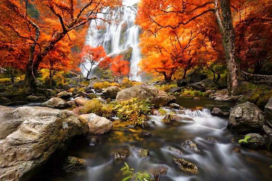 Papermoon Fototapete »WASSERFALL-HERBST BÄUME WALD NATUR LANDSCHAFT DSCHUNG günstig online kaufen