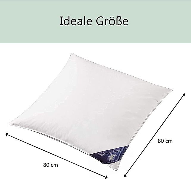 Welt der Träume 3-Kammer-Kopfkissen 2 Stück günstig online kaufen