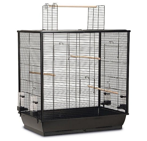 Beeztees Vogelkäfig Vogelkäfig Fiona offen schwarz günstig online kaufen