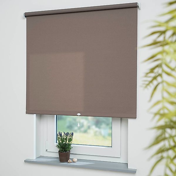 Liedeco Springrollo »Uni«, Lichtschutz, Perlreflex-beschichtet, mit Bohren/ günstig online kaufen