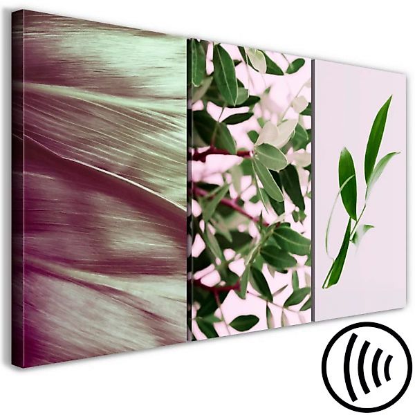 Bild auf Leinwand Triptychon mit Blättern - Komposition aus verschiedenen B günstig online kaufen
