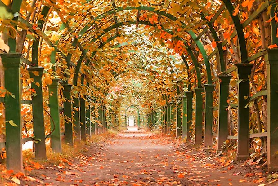 Papermoon Fototapete »Autumn Garden« glatt günstig online kaufen