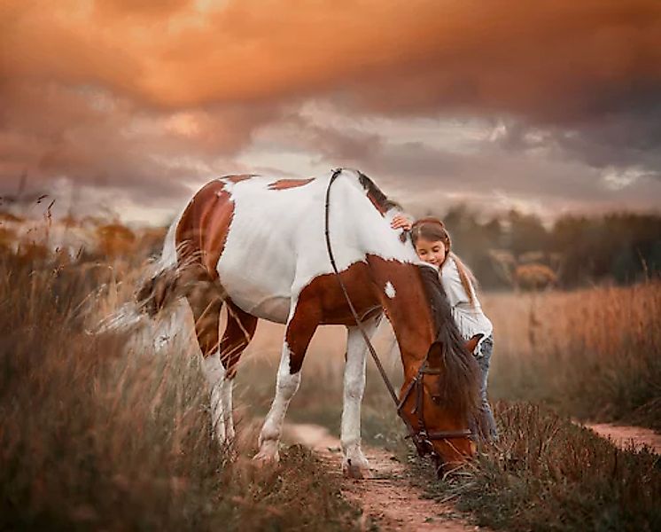 Papermoon Fototapete »PINTO PONY-PFERD MÄDCHEN SCHECKE TIER MINI INDIAN« günstig online kaufen