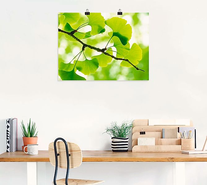 Artland Wandbild "Ginkgo", Blätter, (1 St.), als Leinwandbild, Poster in ve günstig online kaufen