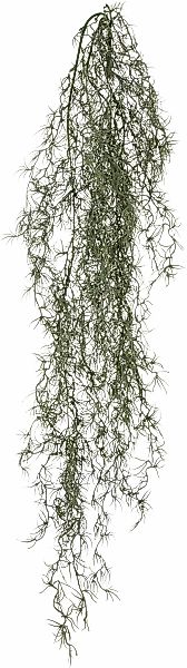 Creativ green Kunstranke "Tillandsia", mit filigranen Ranken günstig online kaufen