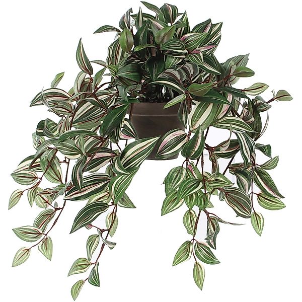 Kunstpflanze Mica Kunstpflanze Tradescantia hängend grün günstig online kaufen