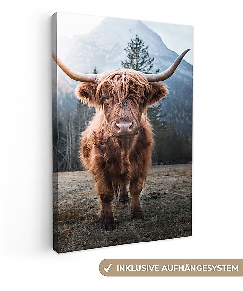 OneMillionCanvasses® Leinwandbild Schottische Highlander - Natur günstig online kaufen