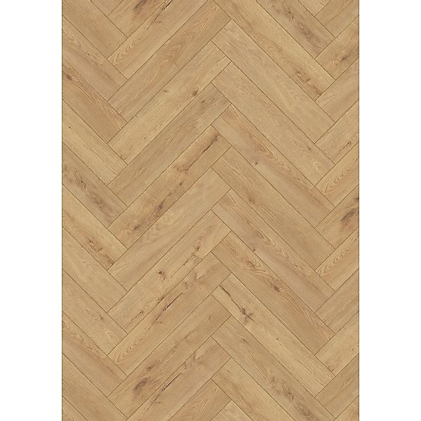 Kaindl Masterfloor Herringbone Laminat 8 mm Eiche Eddinburgh günstig online kaufen