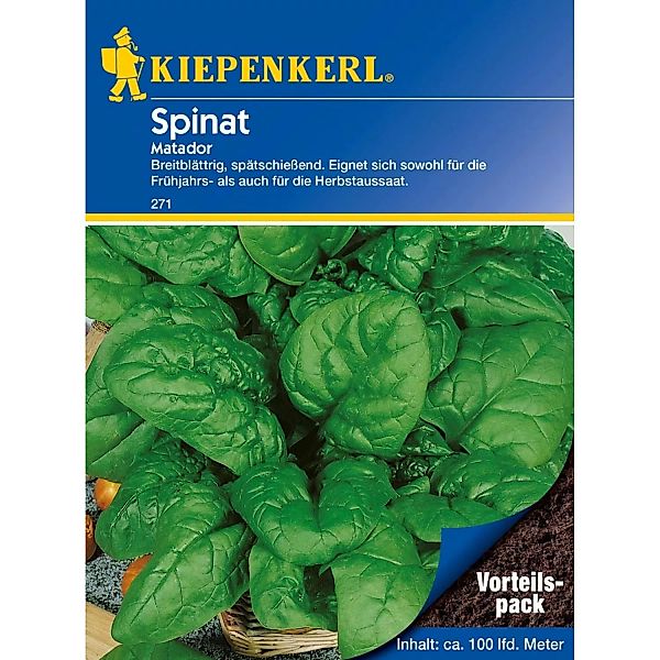Kiepenkerl Spinat Matador Vorteilspack groß (Spinacia oleracea) günstig online kaufen