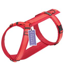 STUCH Hunde-Geschirr STUCH - Hundegeschirr - günstig online kaufen