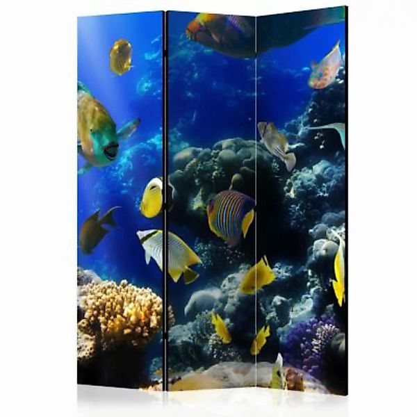 artgeist Paravent Underwater adventure [Room Dividers] mehrfarbig Gr. 135 x günstig online kaufen
