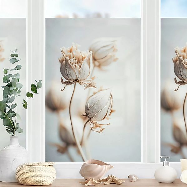Fensterfolie Knospen und Blüten günstig online kaufen
