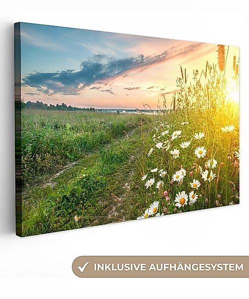 OneMillionCanvasses® Leinwandbild Blumen - Gänseblümchen - Natur - Sonne - günstig online kaufen